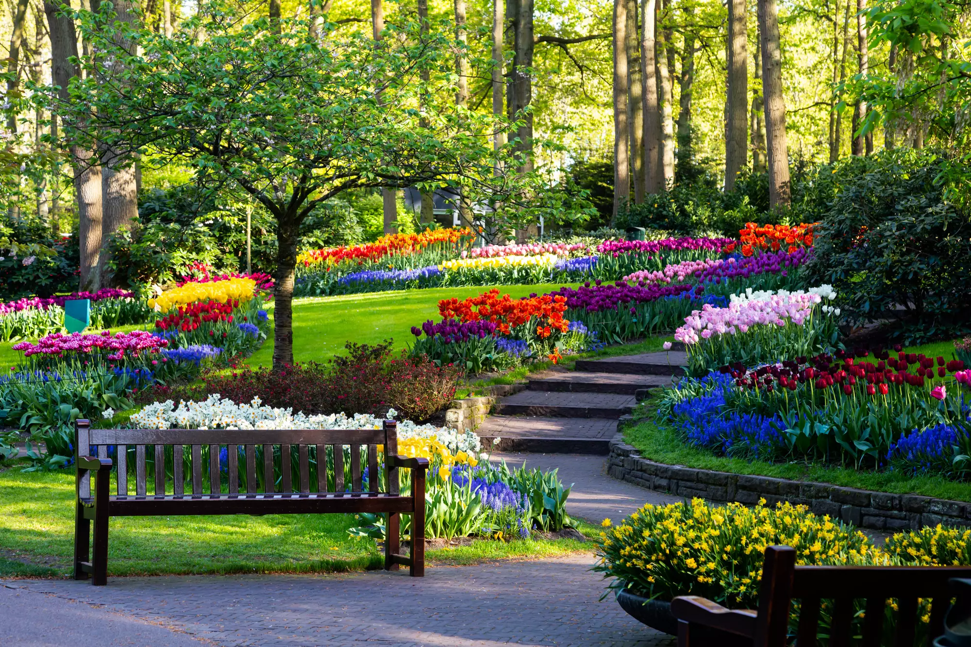 Entretien de parcs et jardins à Fraize