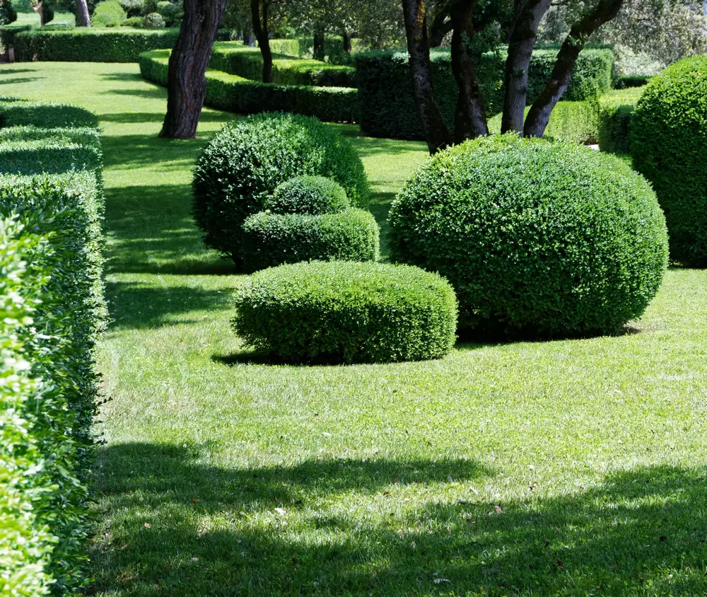 Entretien de parcs et jardins à Fraize
